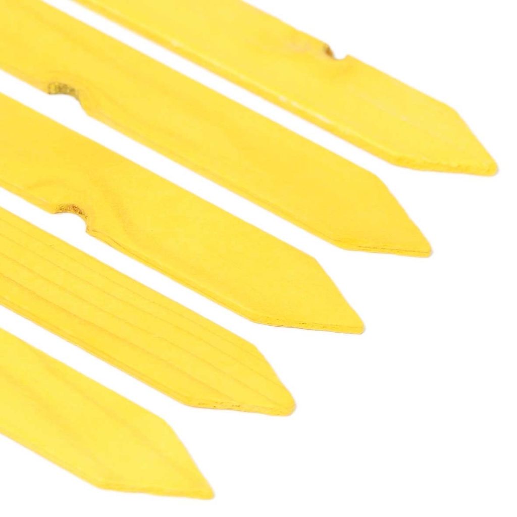 Etichetta da piantare in legno giallo