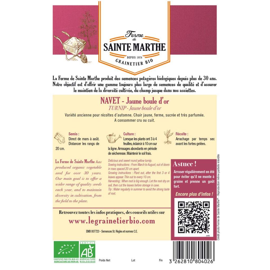 Rapa gialla Golden Ball Bio - Ferme de Sainte Marthe