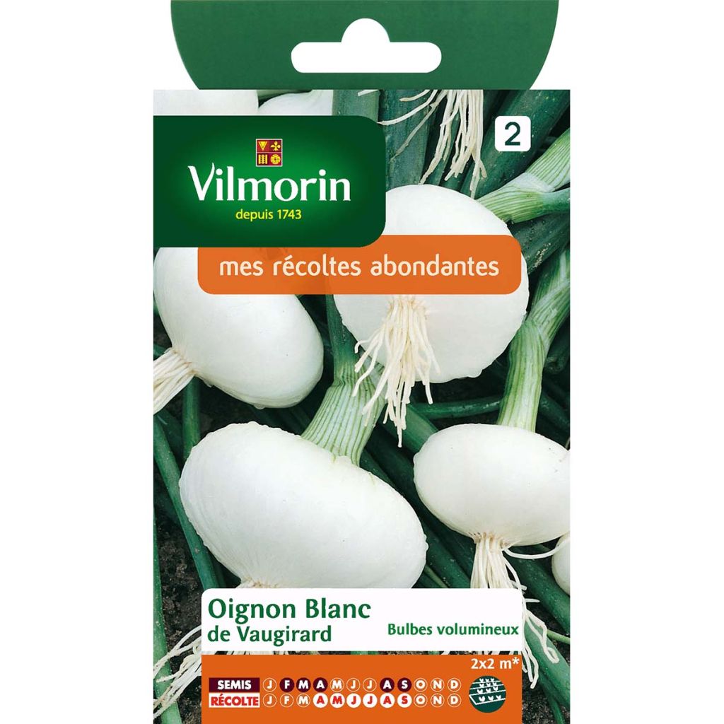 Cipolla bianca Blanc de Vaugirard - Vilmorin