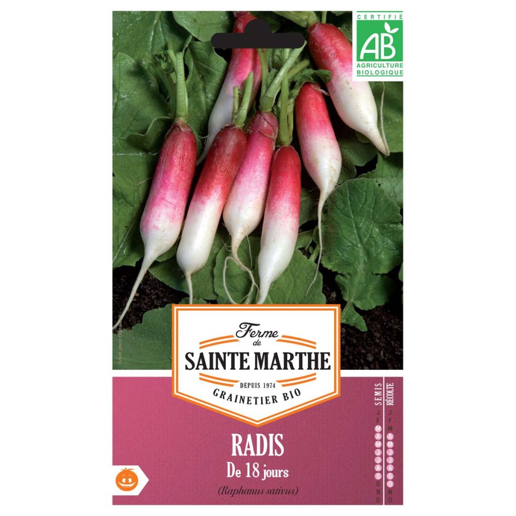 Ravanello dei 18 giorni Bio - Ferme de Sainte Marthe