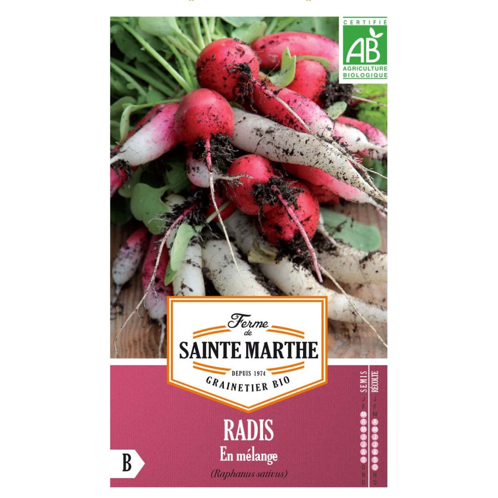 Ravanello Mix Bio - Ferme de Sainte Marthe