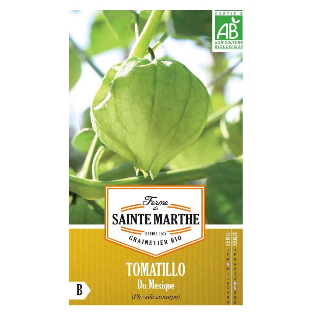 Physalis ixocarpa Bio - Ferme de Sainte Marthe - Alchechengio vischioso