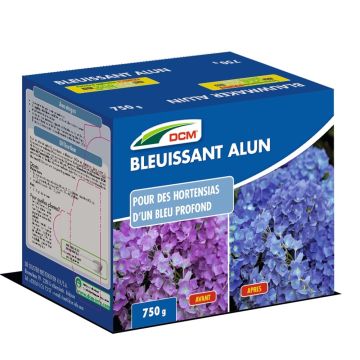 Bleuissant Ortensie DCM in scatola da 750 grammi (Allume di potassio)