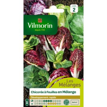 Cicoria Mix - Vilmorin
