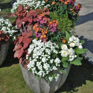 Collezione primavera design in bianco e rame