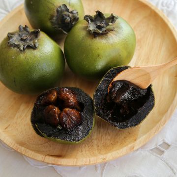 Diospyros digyna - Zapote nero
