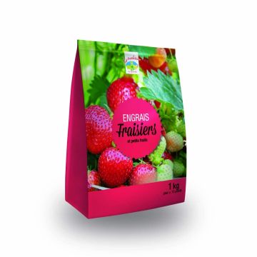 Fertilizzante per Fragole NPK 4-8-12 + 2MgO in Mini-confezione da 1 Kg