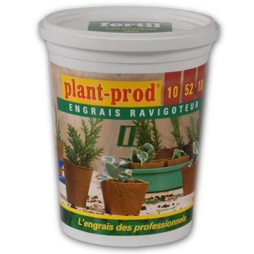 Fertilizzante solubile professionale Plantprod Ravigoteur 10-52-10 Fertil scatola da 400 grammi
