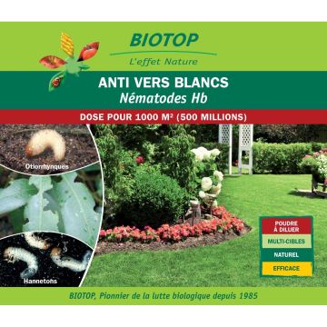 Nematodi Hb Biotop contro i vermi bianchi