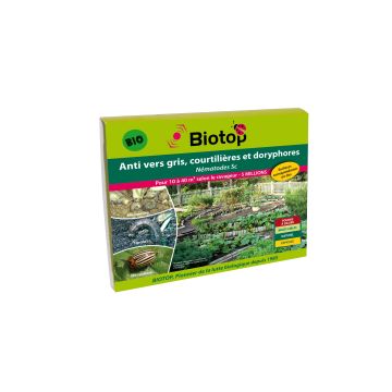 Nematodi contro le larve di nottue e dorifora Sc Biotop