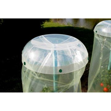 Clip per Tomato Cup - confezione da 8