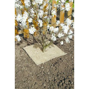 Tessera di pacciamatura naturale biodegradabile Chanvrelin 750 0.40 x 0.40 metri