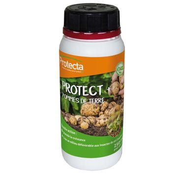 PROTECT + Patate PROTECTA flacone da 250 ml
