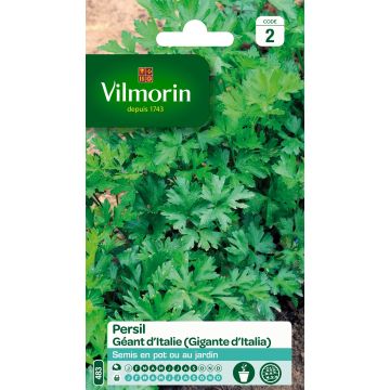 Prezzemolo Gigante d'Italia - Vilmorin