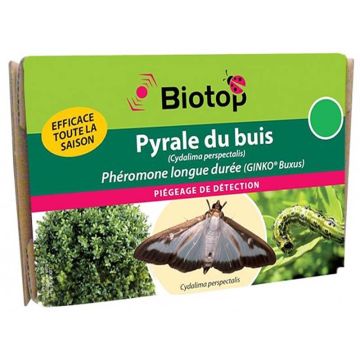 Feromone Piralide del Bosso Cydalima perspectalis Biotop - 2 capsule