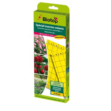 Trappola cromatica (piastre collanti) gialla 25 x 10 cm - confezione da 10