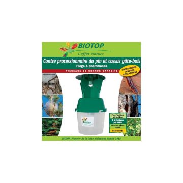 Trappola a imbuto con alette Biotop singola (speciale Processionaria del pino-Cossus Cossus)