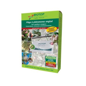 Trappola per farfalle nocive Delta singola (1 tetto + 3 fondi adesivi) Biotop