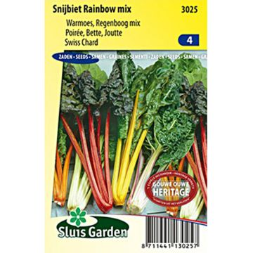 Bietola Rainbow mix