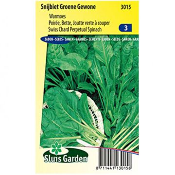 Bietola Groene Gewone 2