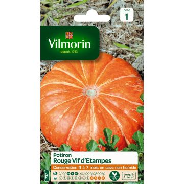 Zucca Rosso vivo di Etampes - Vilmorin