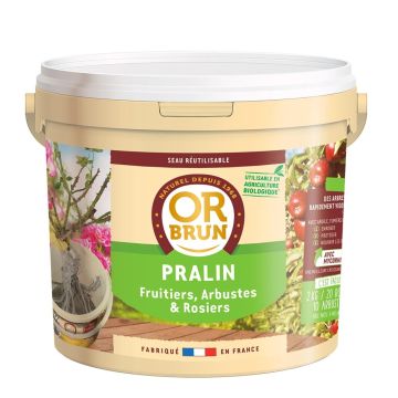 Pralin Or Brun in secchio da 2 kg