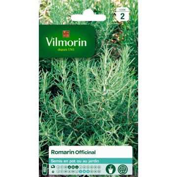 Rosmarinus officinalis - Vilmorin - Rosmarino