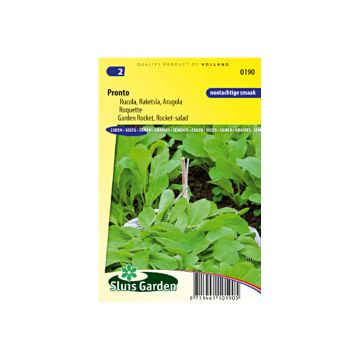 Rucola Pronto