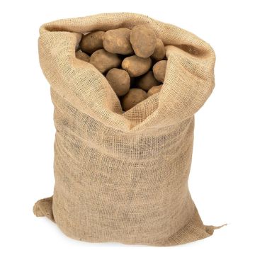 Sacco di iuta speciale per patate 215 g/m² capienza 25 kg 51 x 79 cm La Cordeline