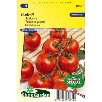 Pomodoro Vitador