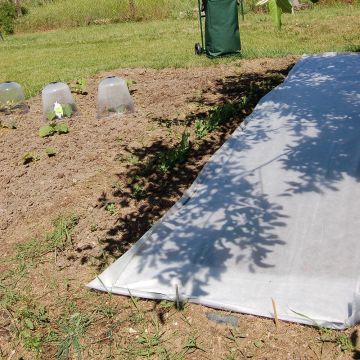 Tessuto non tessuto 17g