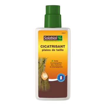 Cicatrizzante per ferite da potatura Solabiol
