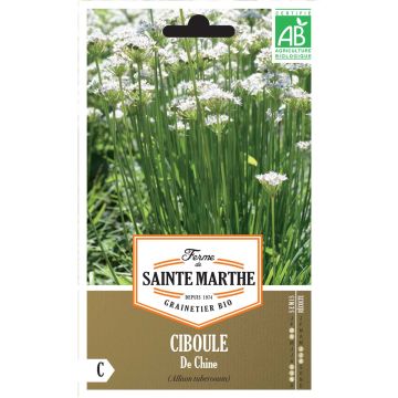 Aglio cinese Bio - Ferme de Ste Marthe