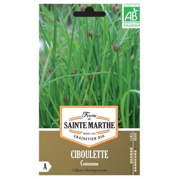 Erba cipollina Bio - Ferme de Sainte Marthe