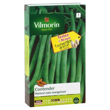 Fagiolo nano Contender - Vilmorin