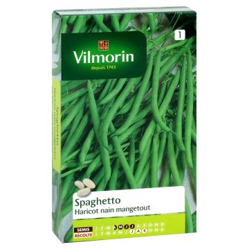 Fagiolo nano Spaghetto