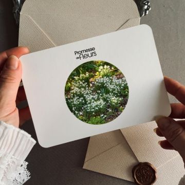 Carta regalo