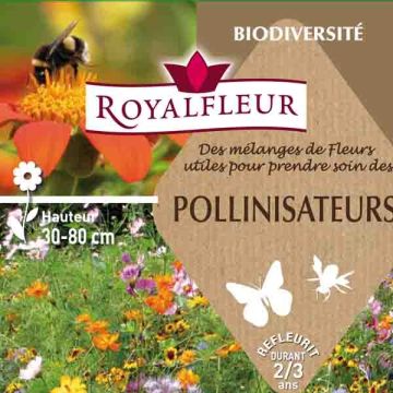 Mischia per attirare i polinatori - Scatola 100 m2