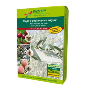 Trappola per mosche della frutta Dacotrap Biotop