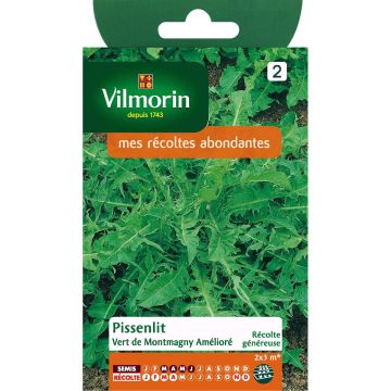 Taràssaco comune Verde di Montmagny migliorata