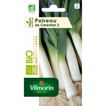 Porro di Carentan 3