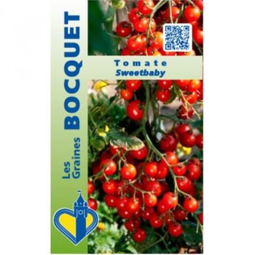 Pomodoro ciliegino/datterino Sweetbaby - Graines Bocquet