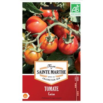 Pomodoro ciliegino/datterino Cerise