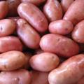 Patate particolari e colorate