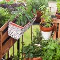 Orto su terrazza e balcone