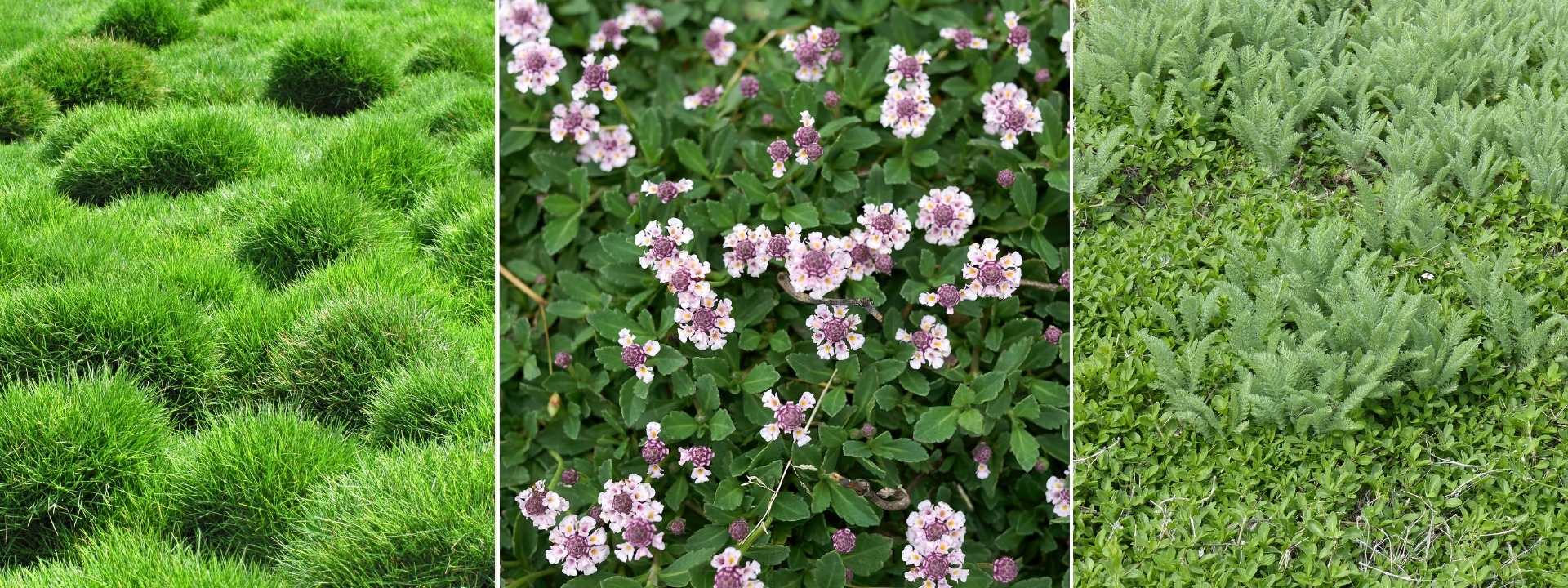 <i>Alternative</i> AL POSTO DEL PRATO