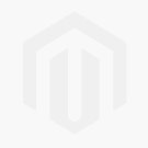 Nerium oleander Roseum Plenum - Oleandro